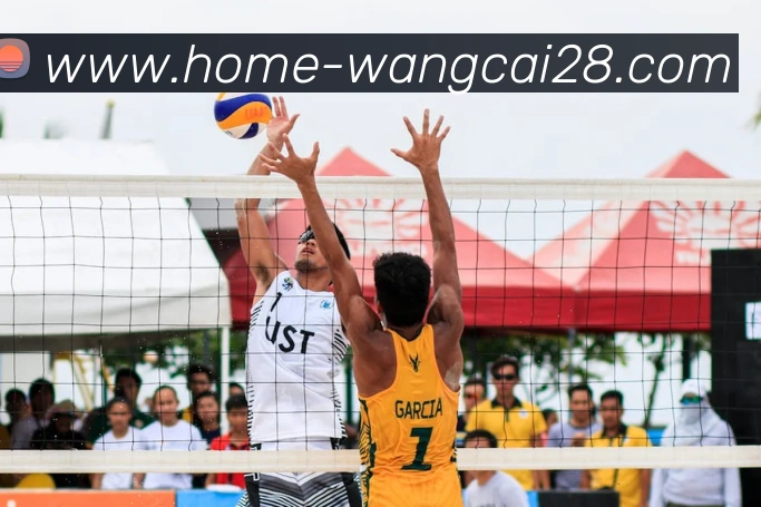 旺财28平台生态图