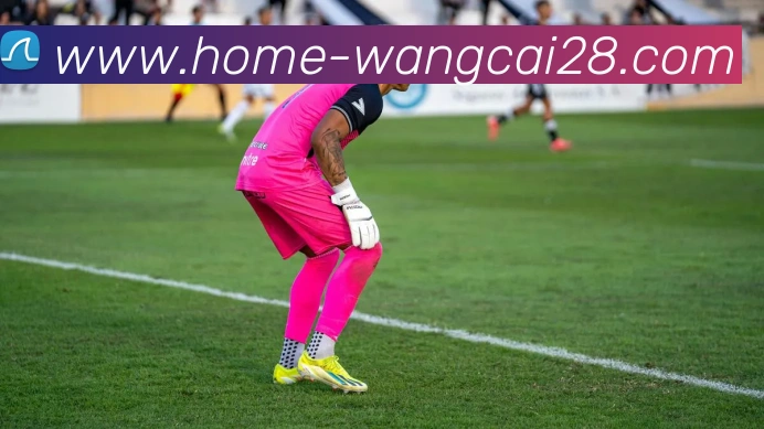 旺财28APP 封面图