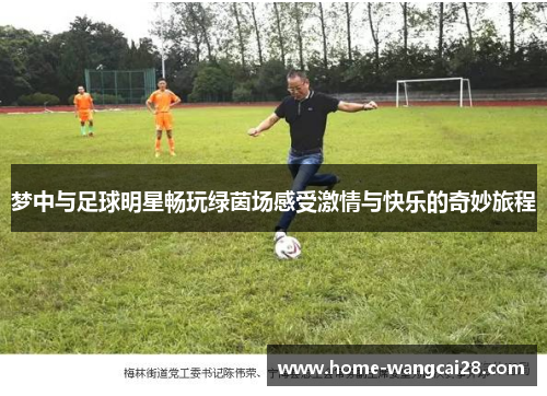 梦中与足球明星畅玩绿茵场感受激情与快乐的奇妙旅程