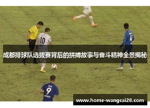 成都排球队选拔赛背后的拼搏故事与奋斗精神全景揭秘