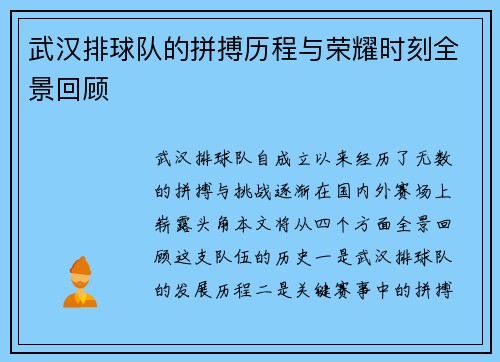武汉排球队的拼搏历程与荣耀时刻全景回顾