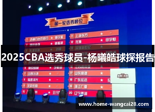 2025CBA选秀球员-杨曦皓球探报告